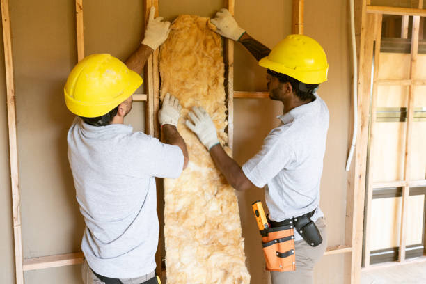 Insulation Replacement Services